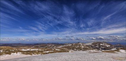 Near Rawsons Pass - Kosciuszko NP - NSW T (PBH4 00 10598)